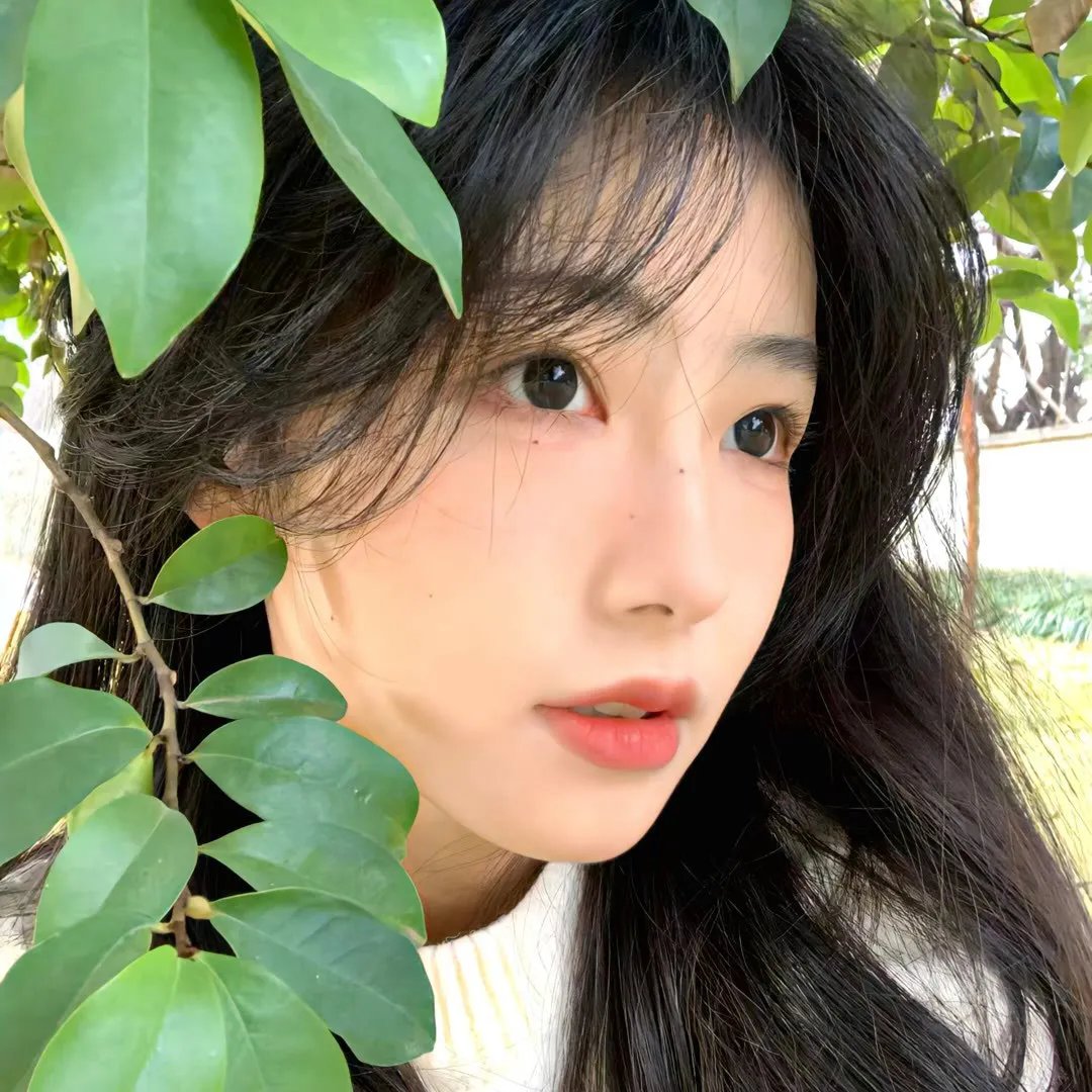 风继续吹